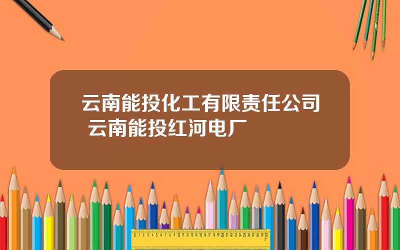 云南能投化工有限责任公司 云南能投红河电厂